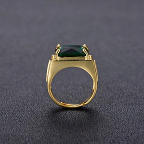 HuiSept 925 Silver Ring with Emerald Zircon for Men Best Price in Men Jewerly - 2023